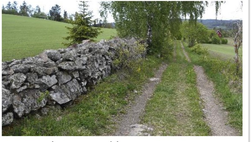 Vandring mellom Grinaker og Dvergsten