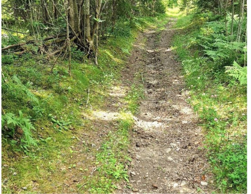 Vandring i Kløvstadmarka, Tingelstad 